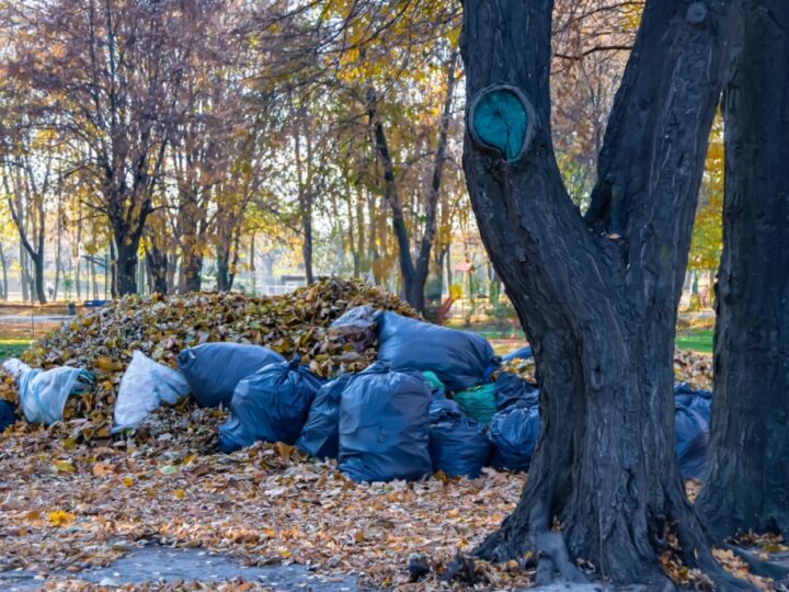 Dwa przypadki nielegalnego wyrzucania śmieci na terenie gminy Świdnica