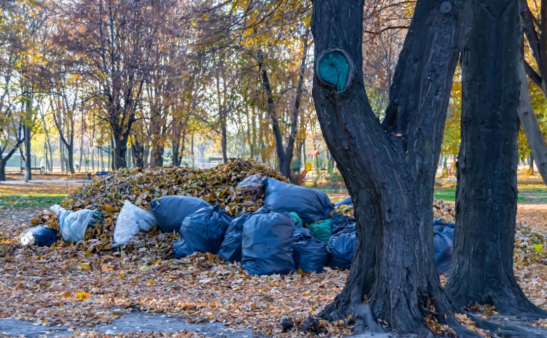 Dwa przypadki nielegalnego wyrzucania śmieci na terenie gminy Świdnica