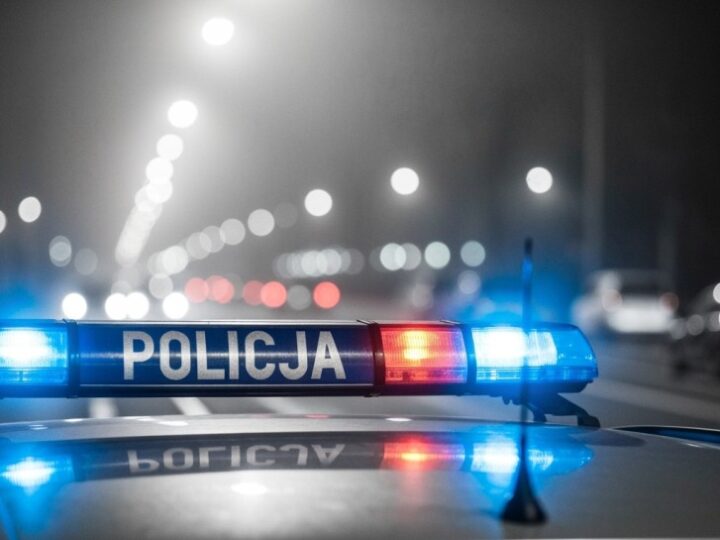 Papuga w sklepie i niebezpieczny rajd po trawnikach – interwencje straży miejskiej w Świdnicy
