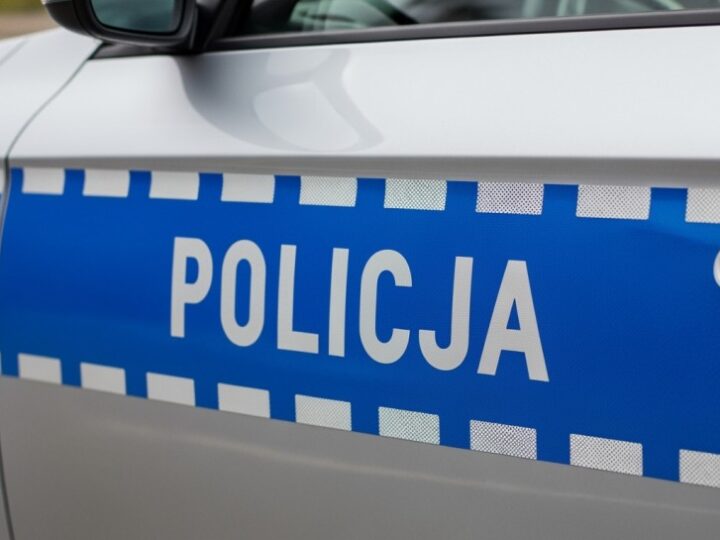 Właściciel znęcał się nad psem na oczach przechodniów, czworonóg trafił do schroniska po interwencji policji