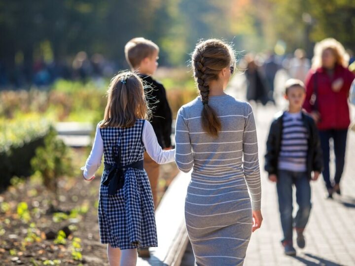 Amor – starszy pies szuka spokojnego domu na swoje złote lata