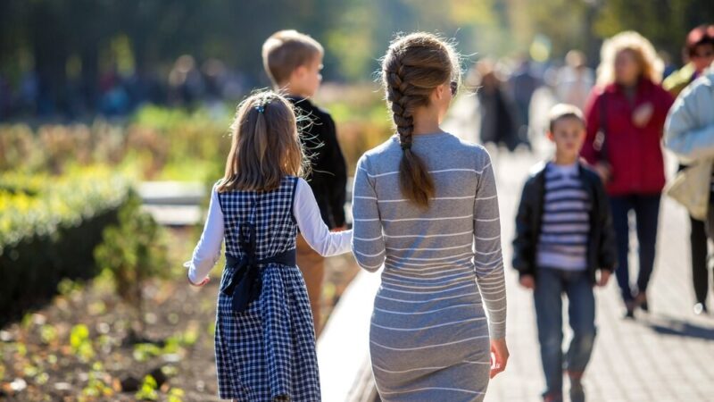Amor – starszy pies szuka spokojnego domu na swoje złote lata