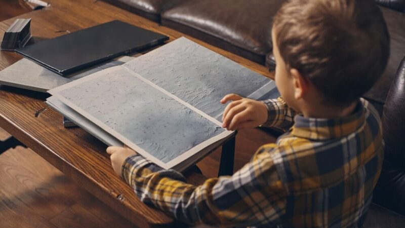 Pikniki ekologiczne w Świdnicy: Edukacja i zabawa na świeżym powietrzu