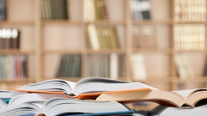 Świdnica w obiektywie młodych artystów: kreatywne warsztaty w bibliotece