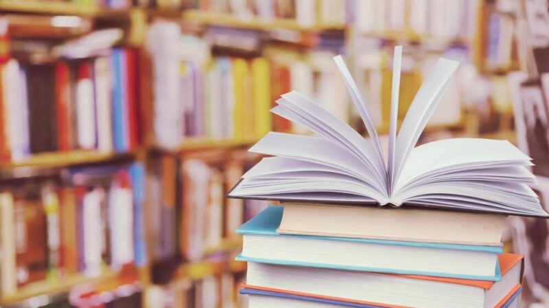 Magdalena Kordel w Żarowie: literacka podróż pełna inspiracji i tajemnic