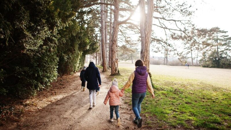 Świebodzice stawiają na aktywność seniorów: nowy program wsparcia na lata 2026-2030
