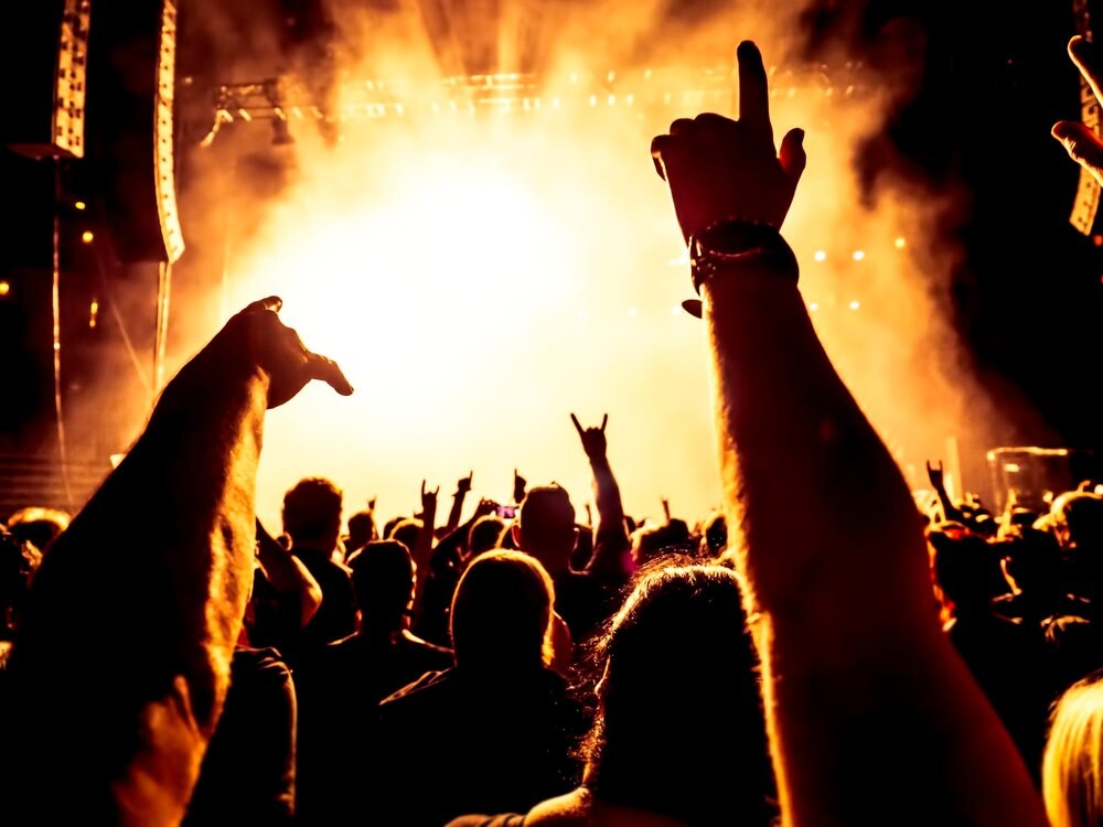 Festiwal Mokrych Nosków w Świdnicy: charytatywny piknik dla czworonogów!