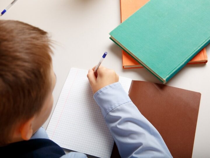 Edukacja wśród zieleni: Mrowiny otwierają Letnią Klasę