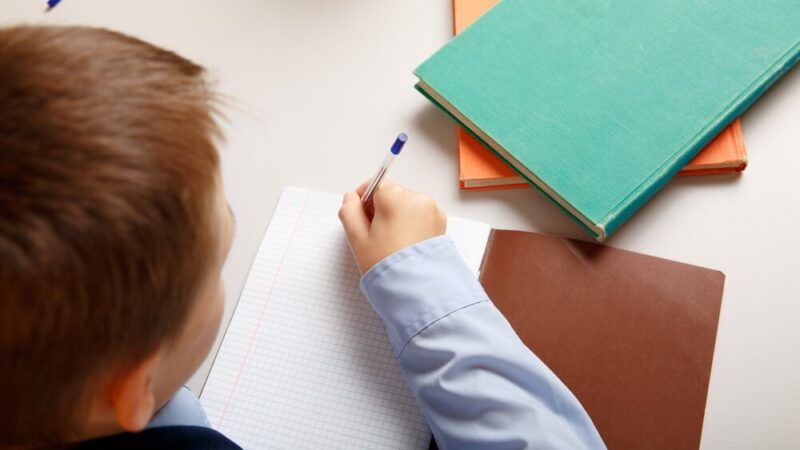 Edukacja wśród zieleni: Mrowiny otwierają Letnią Klasę