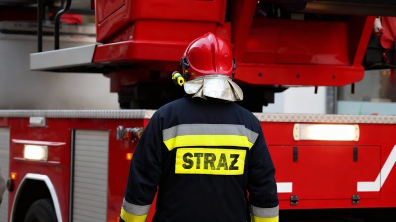 Nowi strażacy w Świdnicy: absolwenci szkolenia w Częstochowie gotowi do akcji