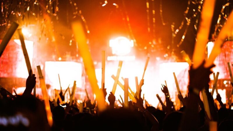 Letni koncert w Świdnicy: Magia muzyki i ognia w parku!