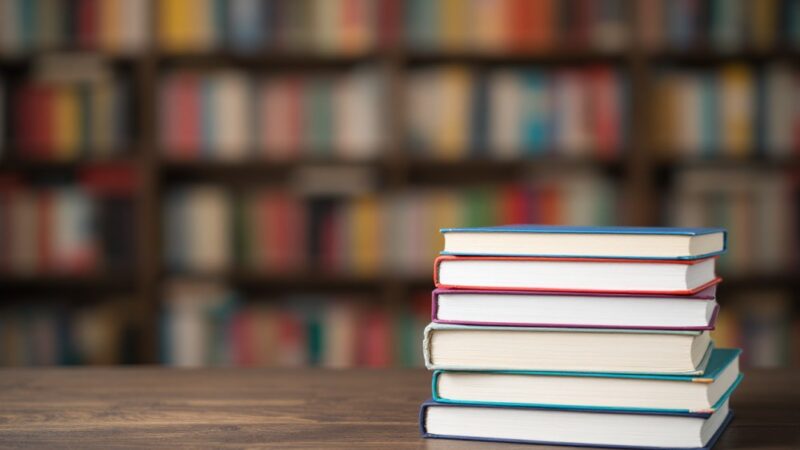 Finał projektów czytelniczych w Świebodzicach: Święto literatury dla dzieci