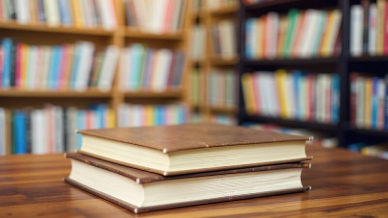 Warsztaty komiksu dla dzieci na II Festiwalu Literackim w Świdnicy